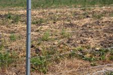 Натяжная проволока на столбах забора