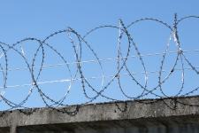 Спираль Гюрза 500/3 на заборе из бетонных плит