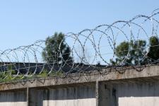 Спираль Гюрза 500/5 на заборе из бетонных плит