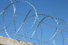 Барьер спиральный Гюрза 600/3 на заборе